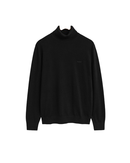 Extrafine Merino Wool Turtleneck